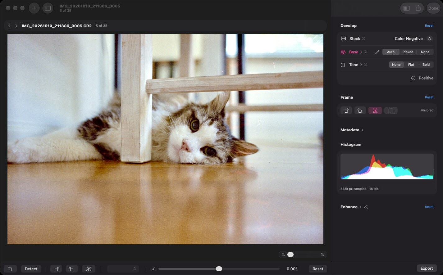 Film Positive with a color negative of a cat under a chair developed into the positive