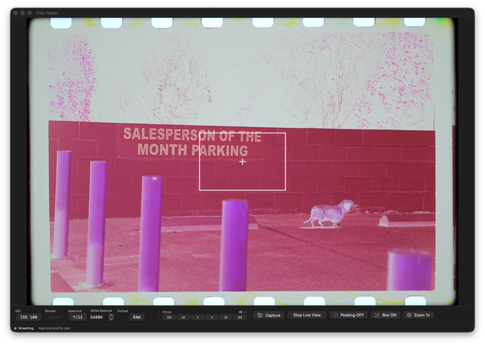The Film Tether app live-viewing a color negative, focus box on